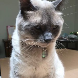 Meet your Posher, Michael